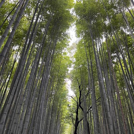 嵐山 天龍の宿 駐車無料 一棟貸切 最大5人 Dragon Legend Arashiyama Central Private Rare Modern Villa Free Parking Max 5Ppl Simoszaga Kültér fotó