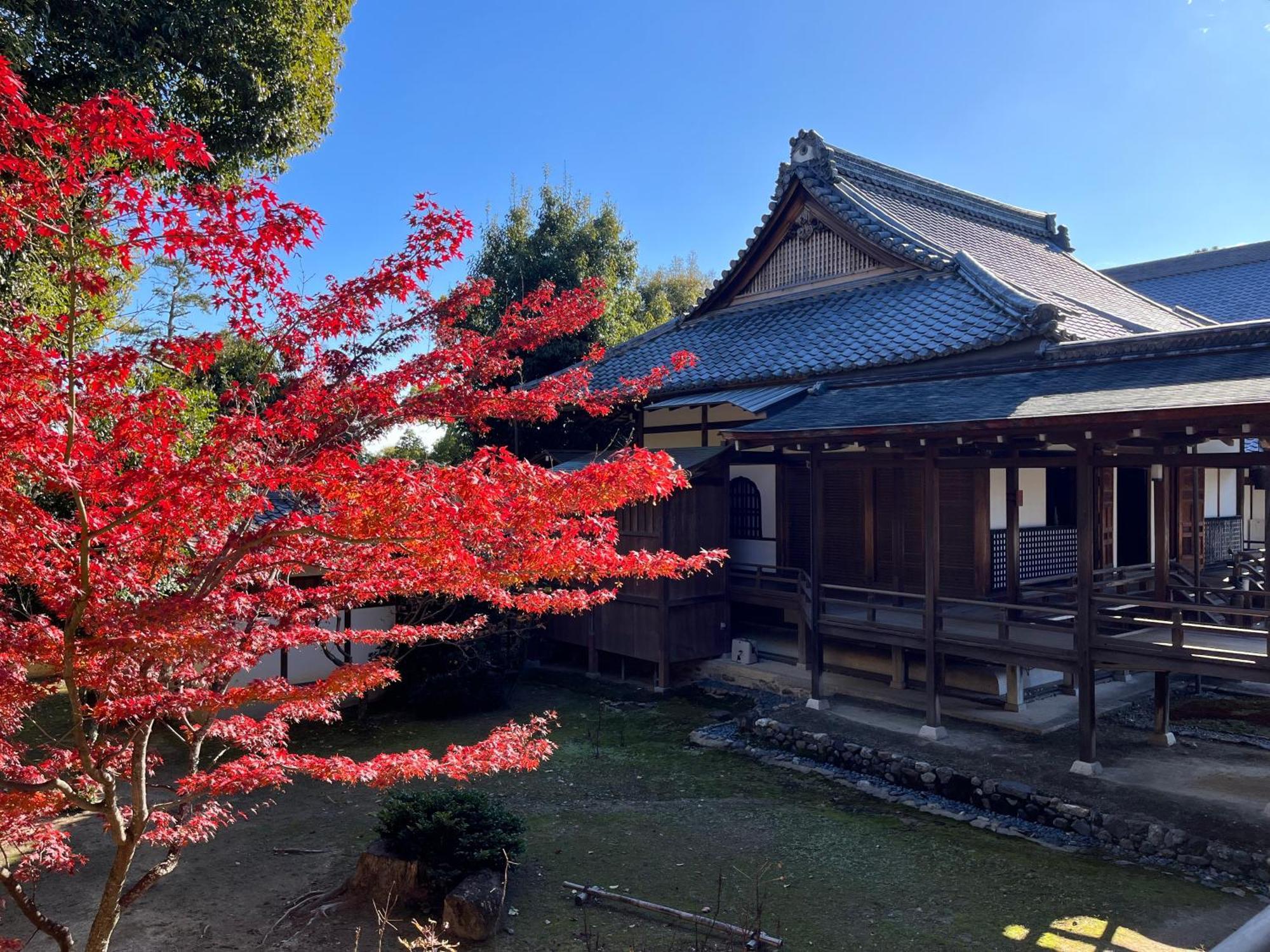 嵐山 天龍の宿 駐車無料 一棟貸切 最大5人 Dragon Legend Arashiyama Central Private Rare Modern Villa Free Parking Max 5Ppl Simoszaga Kültér fotó
